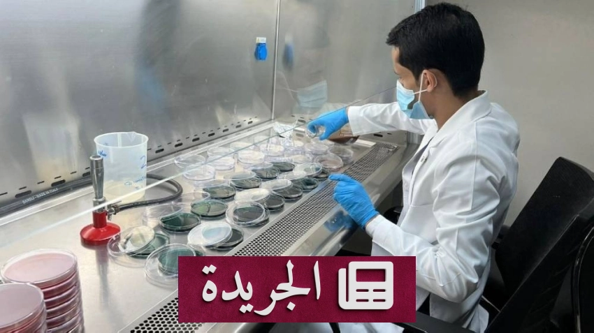 فرع وزارة البيئة والمياه والزراعة بمكة يحقق إنجازا تشغيليا بارزا في مايو 2026 - آخر الأخبار - الجريدة