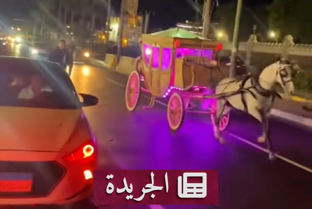 فرار حصان بعروسين في الإسكندرية وانقلاب عربة الحنطور - آخر الأخبار - الجريدة