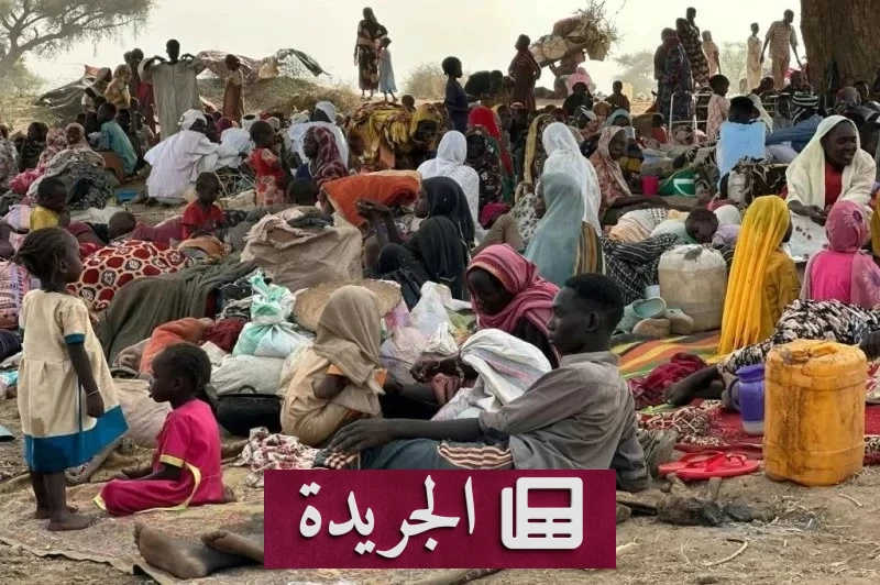 جامعة الدول العربية تحذر من تكرار مأساة الفاشر في مدينة الأبيض السودانية - آخر الأخبار - الجريدة