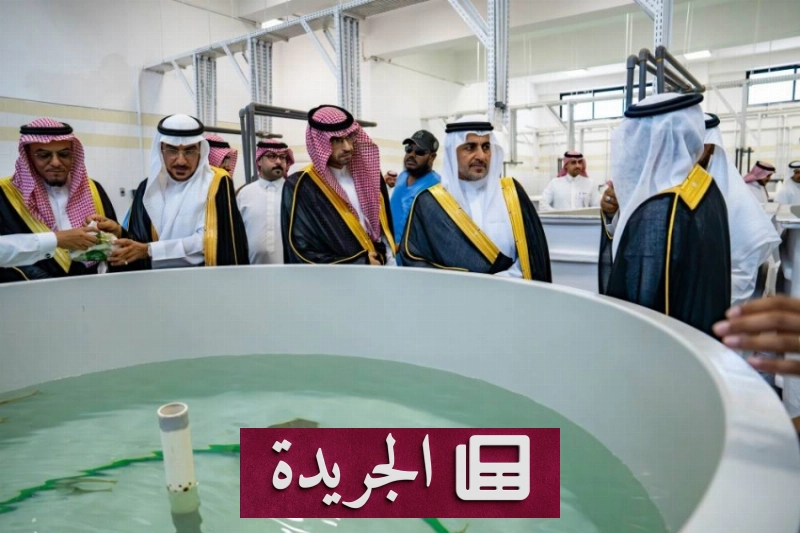 صورةProject launched by King Abdulaziz University to support aquaculture and marine research