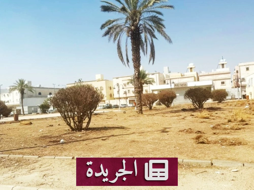 جفاف حدائق النوارية بمكة يثير غضب السكان - أخبار أونلاين