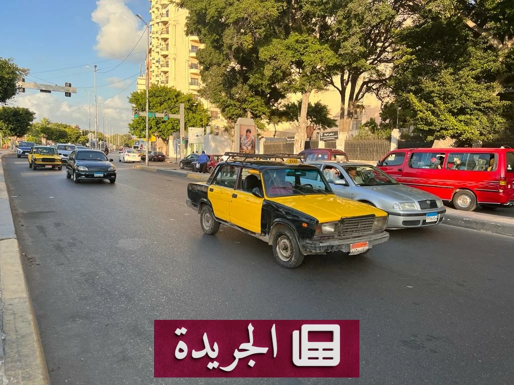 جريمة مروعة في الإسكندرية.. ابن يدفن أمه تحت الأسمنت للحصول على معاشها - آخر أخبار الجريدة