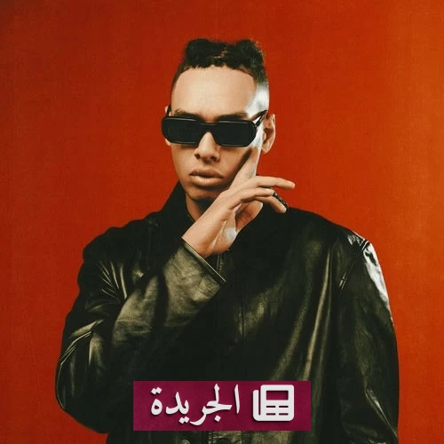 حبس رابر مصري سنة مع الشغل بتهمة إساءة القيم الدينية والأسرية - آخر الأخبار - الجريدة