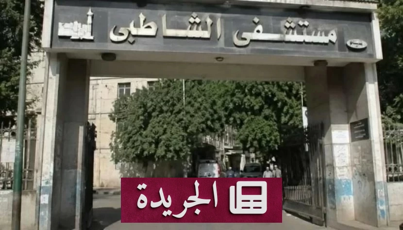 حبس طبيبة 6 أشهر بتهمة نشر أخبار كاذبة عن مستشفى شهير بالإسكندرية - آخر الأخبار - الجريدة