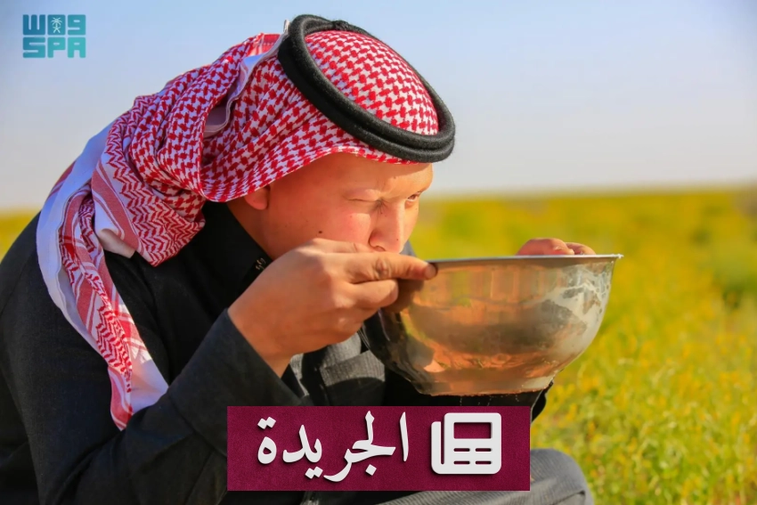 حليب الإبل في الربيع.. تراث غذائي حي يعزز الصحة في الحدود الشمالية - أخبار أونلاين