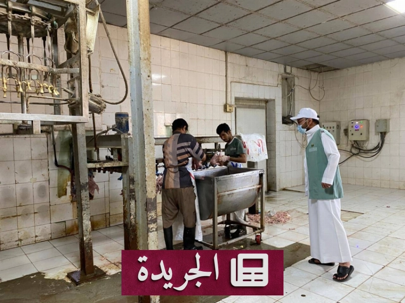 حملة رقابية تكشف 57 مخالفة في مزارع الدواجن العشوائية بمنطقة مكة - آخر أخبار الجريدة