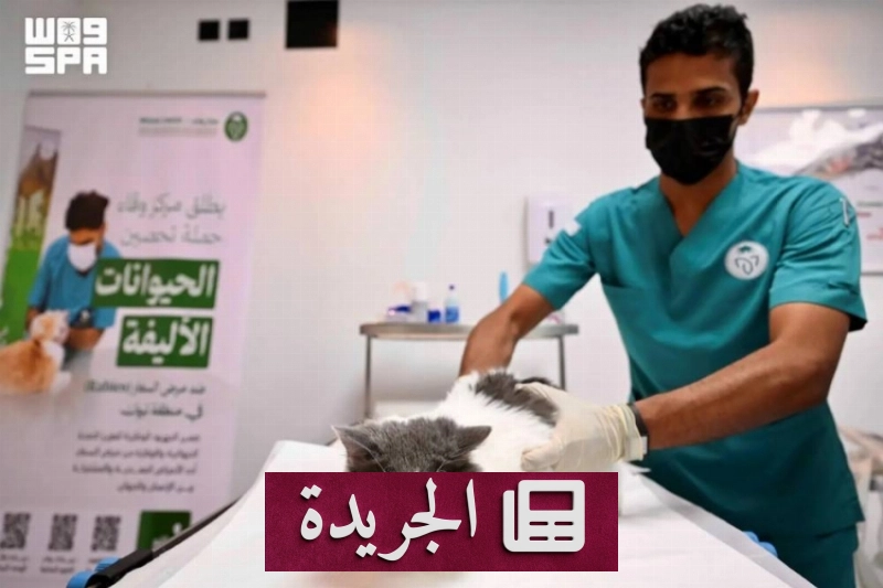 حملة تطعيم مجانية للوقاية من مرض السعار في تبوك - آخر الأخبار - الجريدة