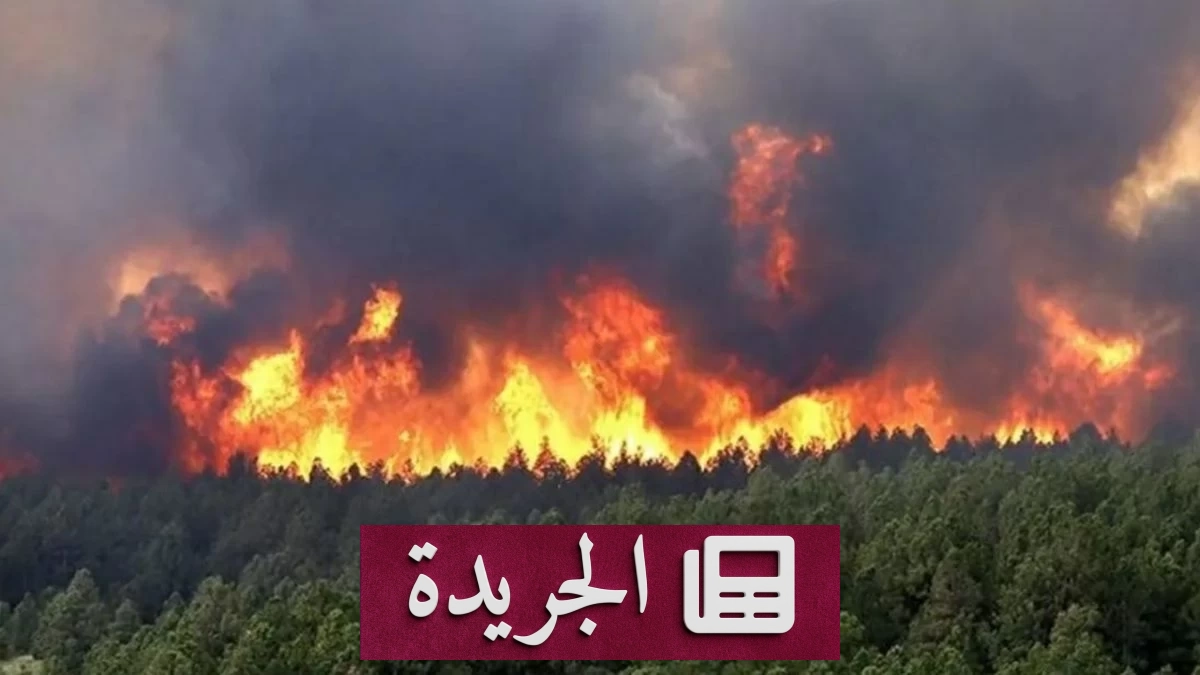 حرائق الغابات في شرق الجزائر تسفر عن 12 قتيلاً - آخر الأخبار - الجريدة