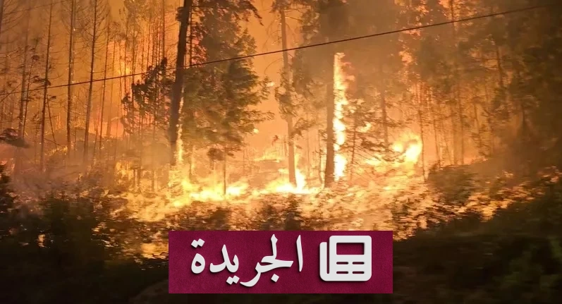 حرائق كندا تتوسع وتforced إجلاء 20 ألف شخص في كولومبيا البريطانية - أخبار أونلاين