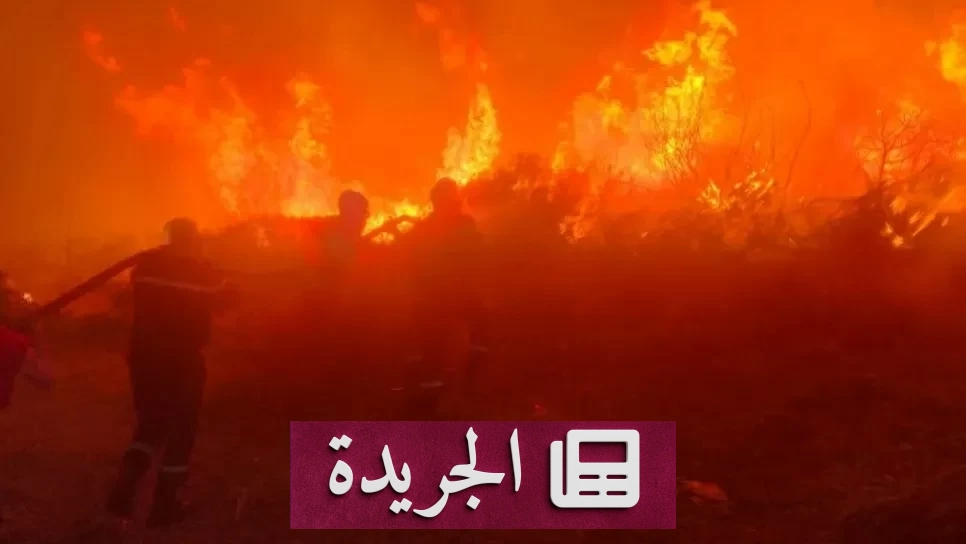 حرائق مدمرة تجتاح شرق الجزائر وإخلاء 100 مريض من مستشفى سرايدي - آخر الأخبار - الجريدة