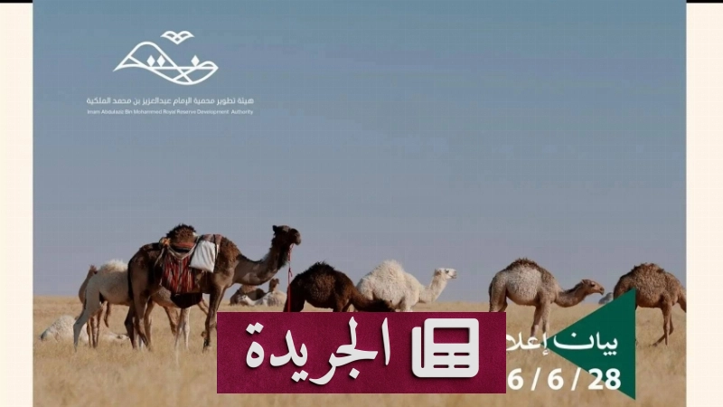 هيئة محمية الإمام عبدالعزيز بن محمد تحذر من الرعي دون تصريح - آخر الأخبار - الجريدة