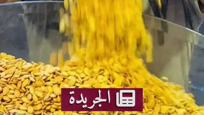 خدعة «اللب الأصفر».. كيف تحولت تسالي السهرات إلى سموم تهدد المصريين - آخر الأخبار - الجريدة
