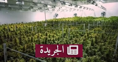 كويتي يحول منزله إلى مزرعة سرية للمخدرات في الدوحة - آخر الأخبار - الجريدة