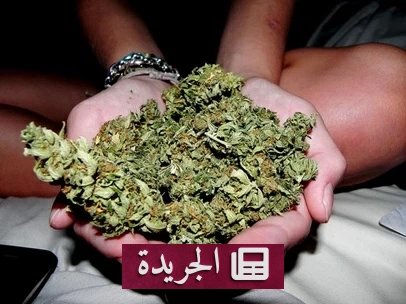 كويتي يسقط في فخ الترويج الإلكتروني للمخدرات عبر السوشيال ميديا - آخر الأخبار - الجريدة