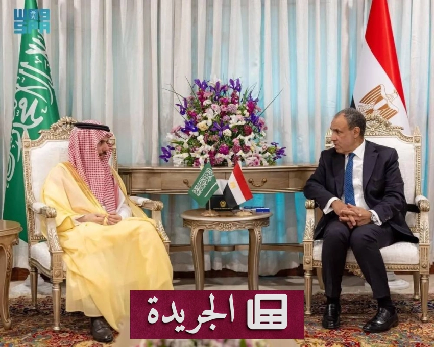 لقاء دبلوماسي هام بين الأمير فيصل بن فرحان والدكتور بدر عبدالعاطي في القاهرة - أخبار أونلاين
