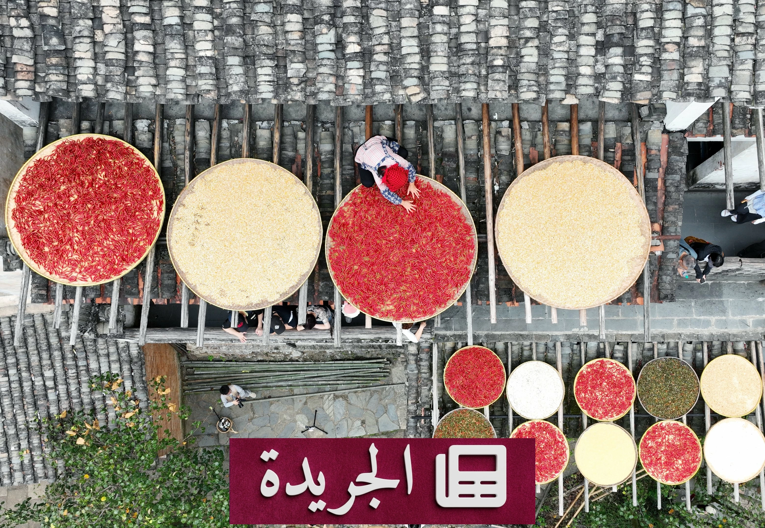 لوحات التجفيف في الحقول.. مشهد الخريف الملون في المزارع - آخر أخبار الجريدة
