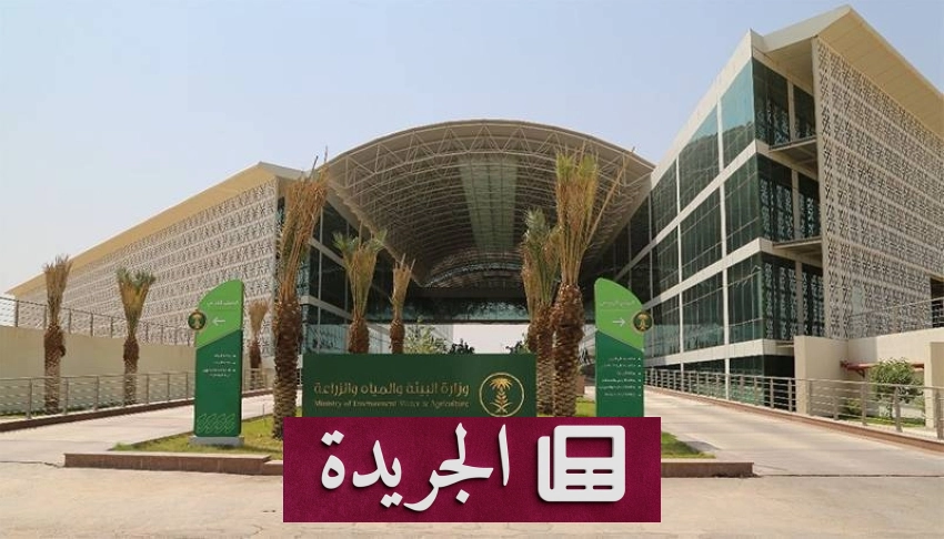 مبادرة استيراد السلع الأساسية تصل موافقات تمويلها إلى 1.7 مليار ريال - آخر الأخبار - الجريدة