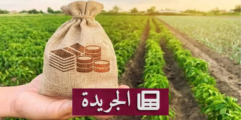 محاكمة محتال هارب بعد اختفائه بملايين ضحايا الاستثمار الزراعي - آخر الأخبار - الجريدة