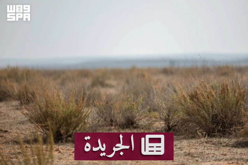 محمية الإمام تركي تحقق انخفاضاً كبيراً في العواصف الغبارية لعام 2026 - آخر الأخبار - الجريدة