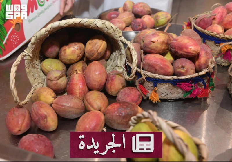 مهرجان القطيف يسلط الضوء على التراث الزراعي واللوز القطيفي - آخر الأخبار - الجريدة