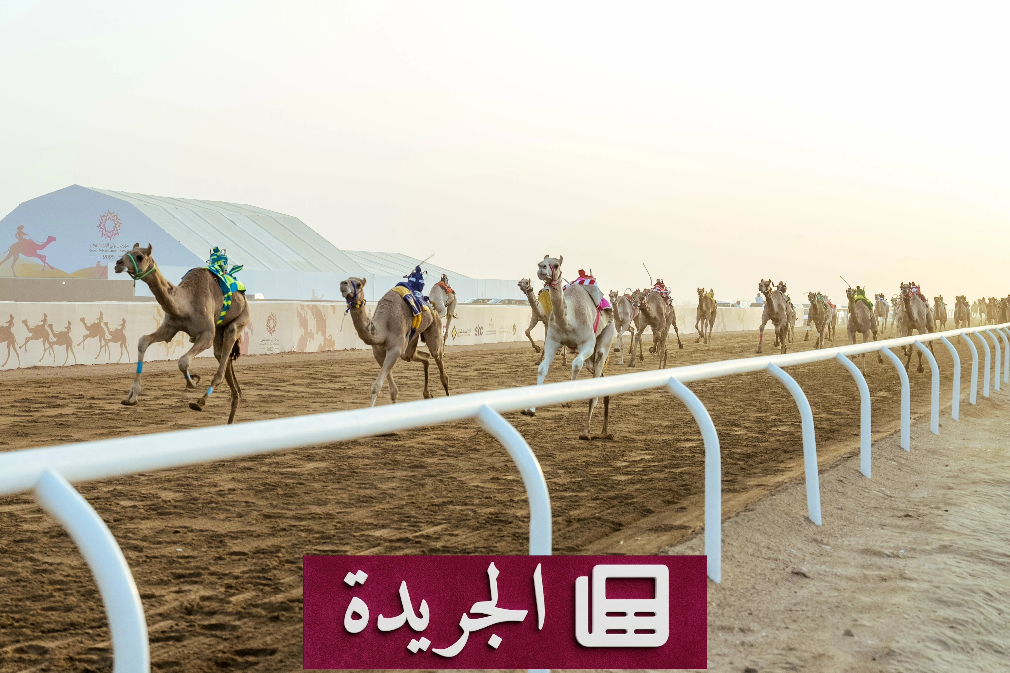 مهرجان ولي العهد للهجن 2026 يعلن جوائزه المالية البالغة 50 مليون ريال - آخر الأخبار - الجريدة