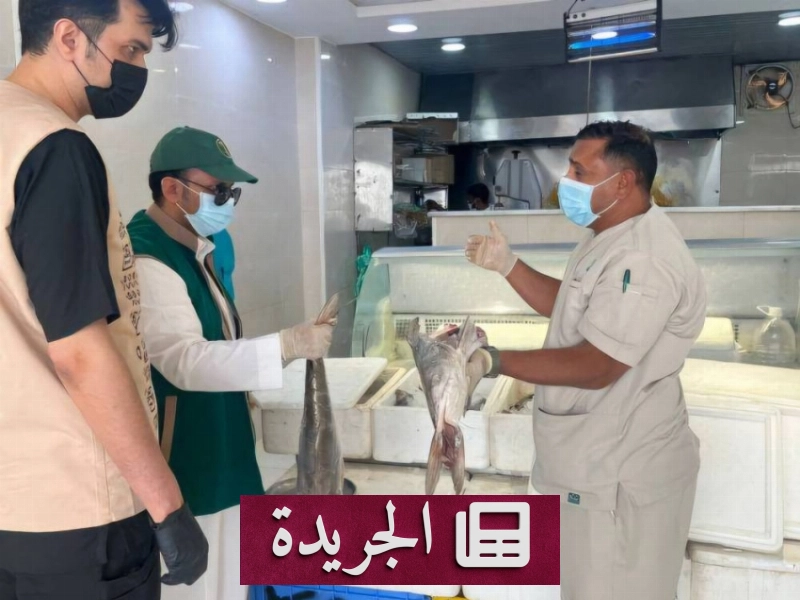 مكتب البيئة ببيشة يشدد على الرقابة الصحية في تداول الأغذية - آخر الأخبار - الجريدة