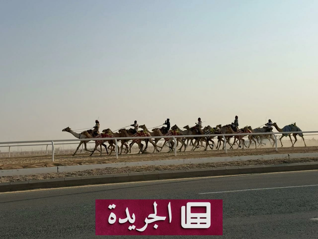 منافسات ولي العهد للهجن تشعل ضاحية العرفاء لمدة عشرة أيام - آخر الأخبار - الجريدة