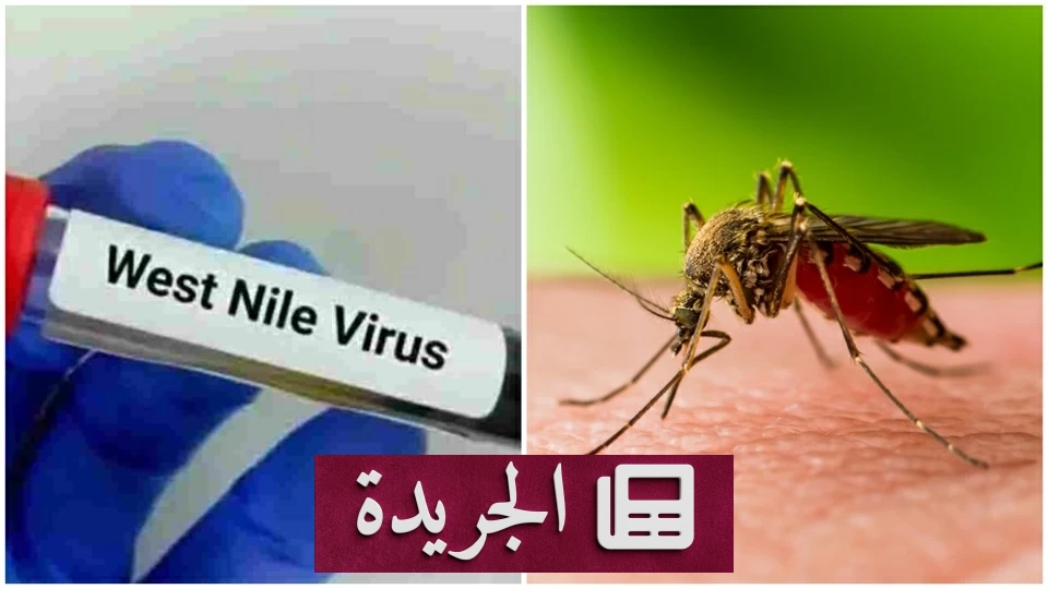 منظمة الصحة العالمية تحذر من انتشار فيروس غرب النيل في أوروبا - أخبار أونلاين