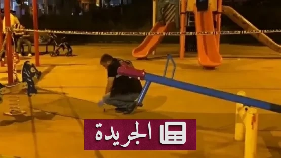 مراهق يحول نزهة عائلية إلى مأساة دموية في تركيا - آخر الأخبار - الجريدة