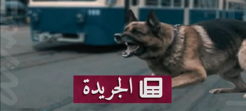 صورة توضح وقوع مشاجرة عنيفة في منطقة بولاق الدكرور بمصر بسبب واقعة معاكسة لامرأة، وتنتهي بسقوط 11 شخصاً في قبضة الأمن وسط مشهد فوضوي