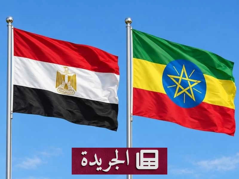 مصر ترد على الاتحاد الأفريقي بشأن الأزمة الإثيوبية - آخر الأخبار - الجريدة