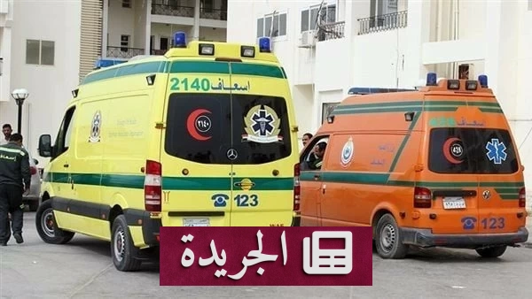 مصر تتعرض لهجوم متزايد للثعابين.. وفاة سيدة وطفلين في أيام معدودة - آخر الأخبار - الجريدة