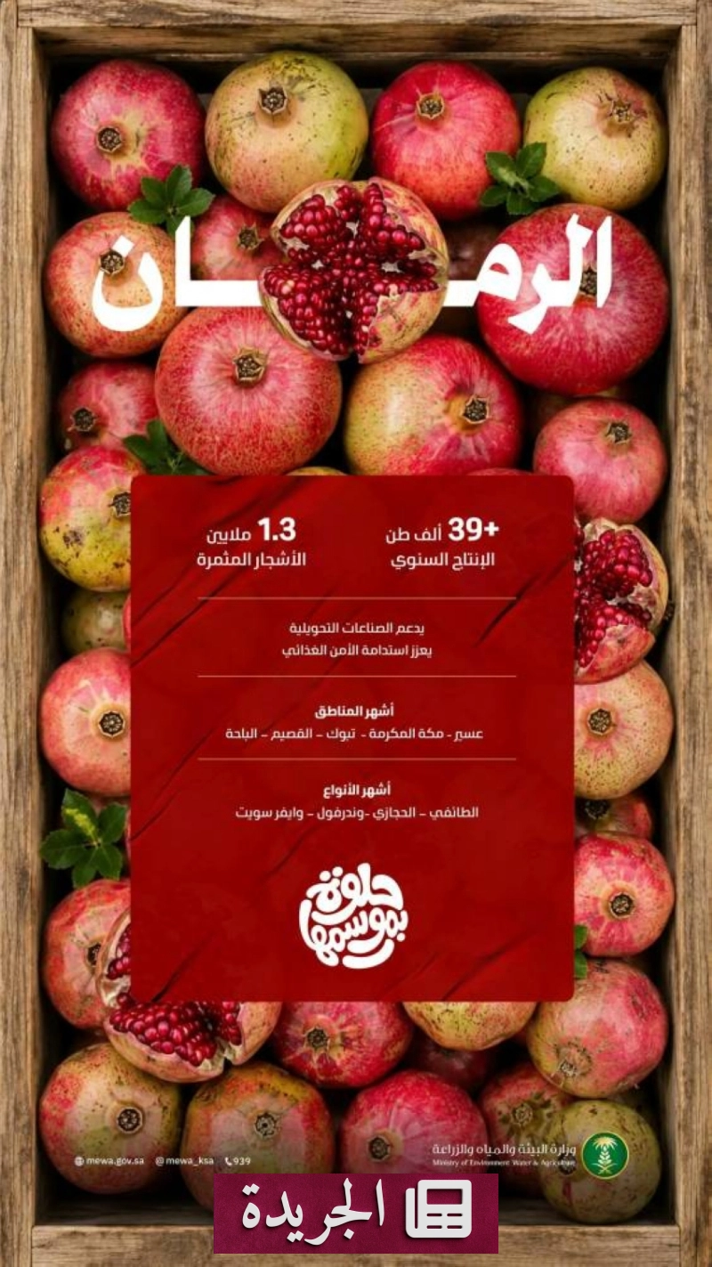 مزارع المملكة تنتج 39.7 ألف طن رمان سنوياً لدعم الأمن الغذائي - آخر الأخبار - الجريدة
