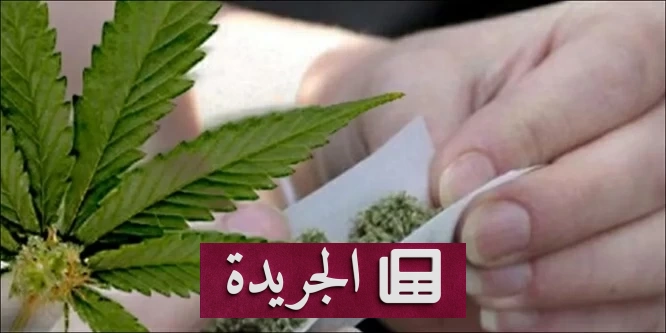 نجمة هوليوود تتحدث بصراحة عن رحلة تعافيها من إدمان الحشيش - آخر الأخبار - الجريدة