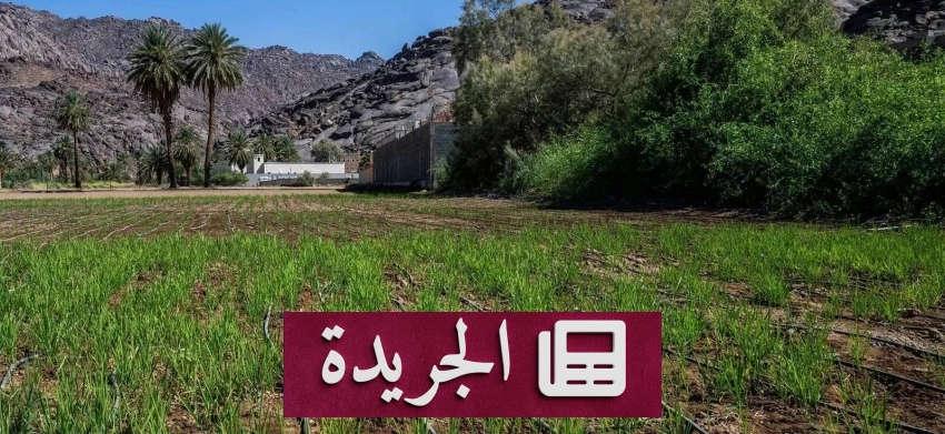 نجران تتحول إلى مختبر للابتكار الزراعي في ظل تجارب ميدانية رائدة - آخر الأخبار - الجريدة