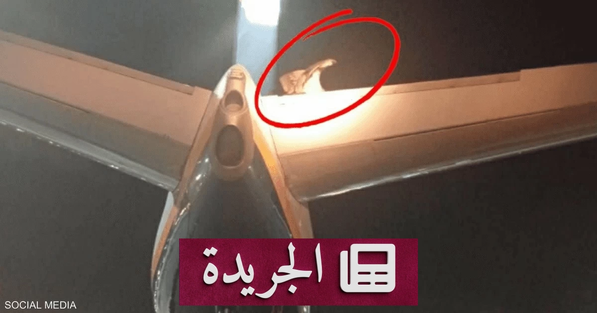 نسر عملاق يعطل رحلة طيران في كريت اليونانية لساعات - آخر الأخبار - الجريدة