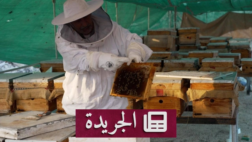 وزارة البيئة تتفقد مناحل العسل في المنطقة الشرقية - آخر الأخبار - الجريدة