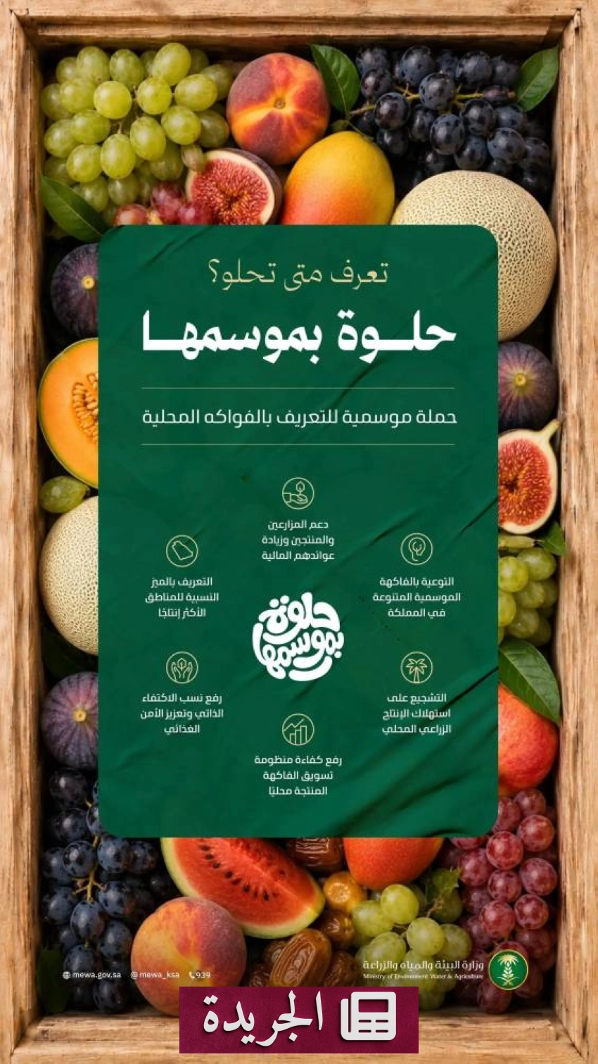 وزارة البيئة تطلق حملة وطنية لتعزيز استهلاك الفاكهة الموسمية - آخر الأخبار - الجريدة