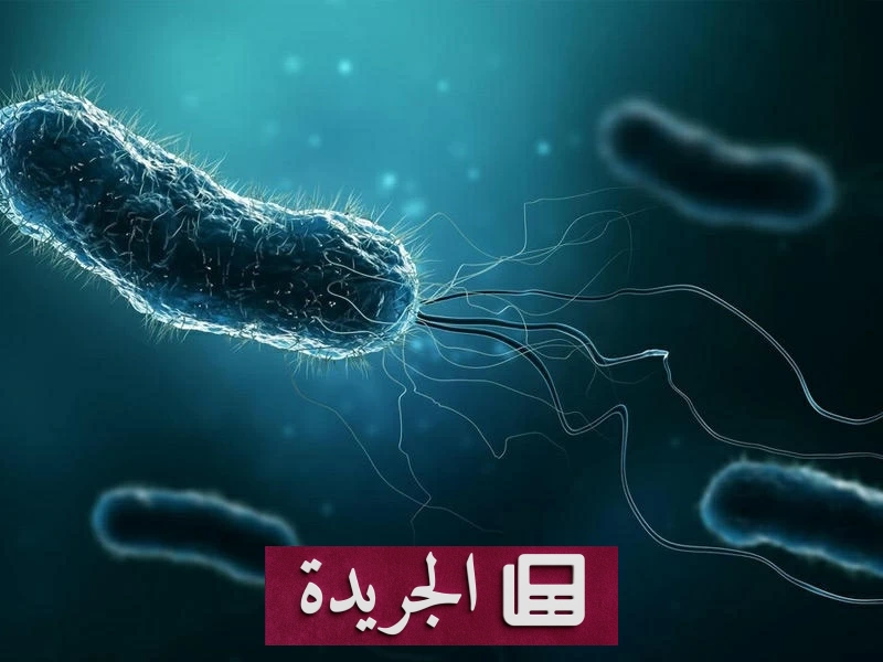 روبوتات مجهرية تشيكيّة تتحرك في عينة مياه لالتقاط جزيئات البلاستيك الدقيق باستخدام تقنية مغناطيسية