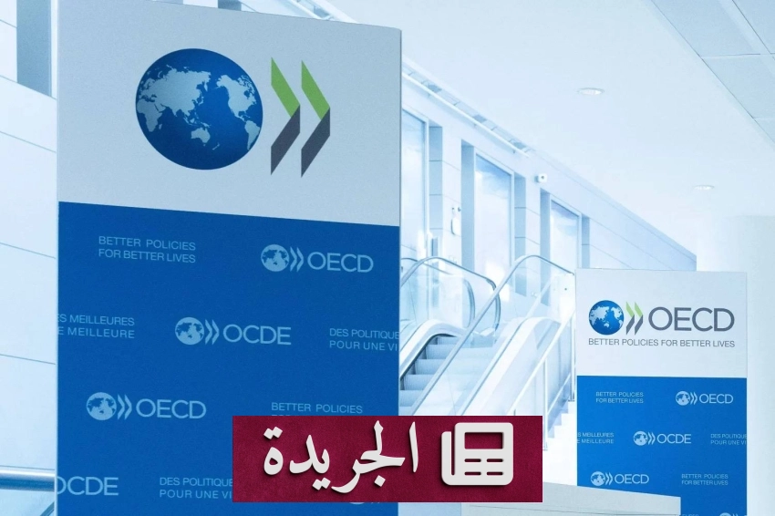 صحيفة المدينة تحتفل بمسيرتها وتستعد لمرحلة جديدة - آخر أخبار الجريدة