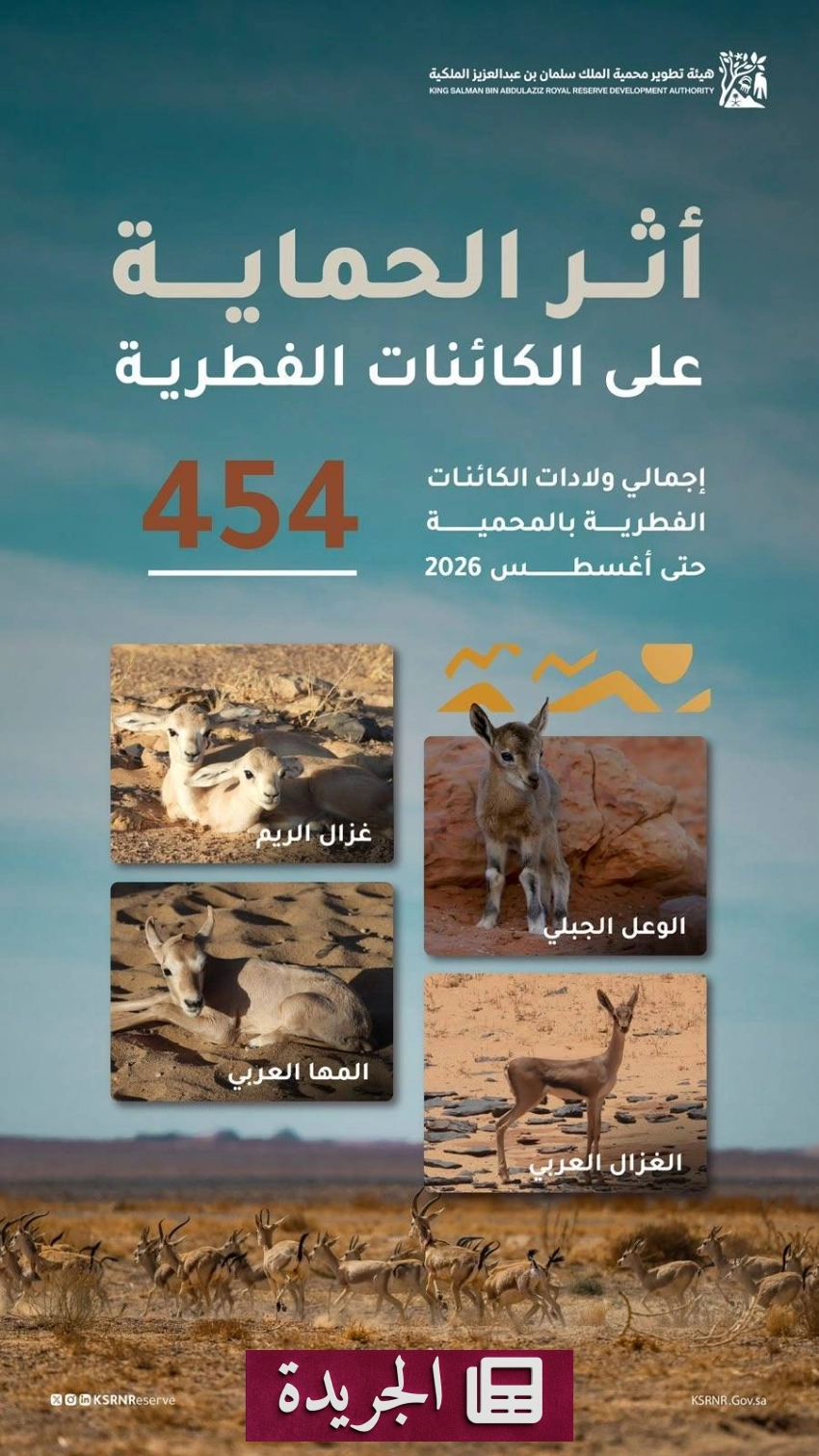 صحيفة المدينة تواصل تغطيتها الشاملة للأحداث المحلية والدولية - آخر أخبار الجريدة