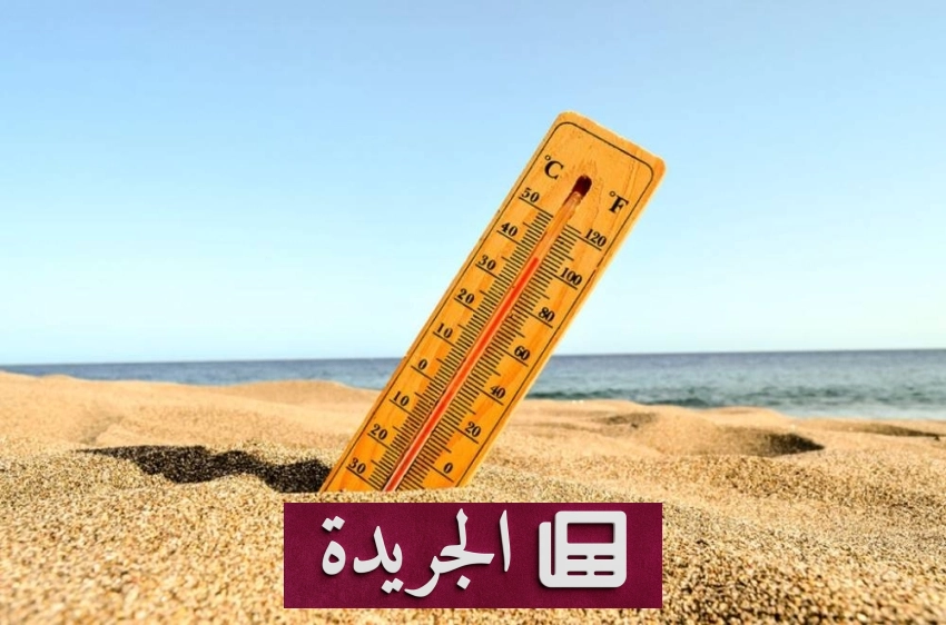 صحيفة المدينة تتصدر المشهد الإعلامي بخبراتها وتغطياتها المتميزة - آخر أخبار الجريدة