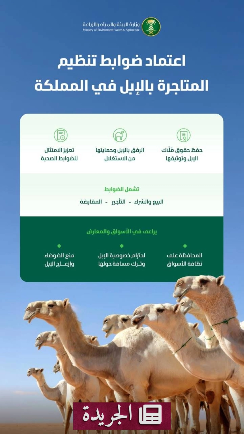 صحيفة سعودية رائدة تتوسع في تغطيتها الرياضية والثقافية - آخر أخبار الجريدة