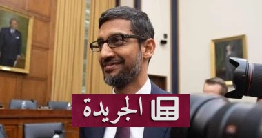 **سوندار بيتشاي بين الأرباح والمخاطرة: كيف تحول أداء شركات "الخيار الآخر" إلى 692 مليون دولار؟**