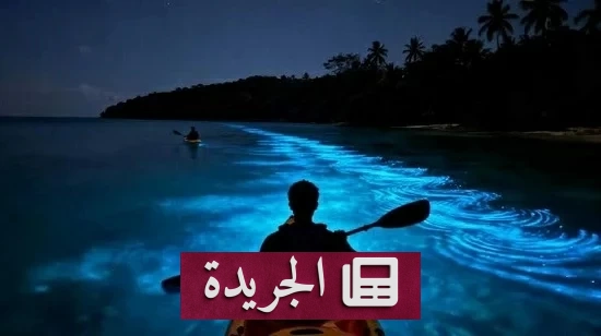 سر التوهج الليلي في 5 شواطئ حول العالم - آخر الأخبار - الجريدة