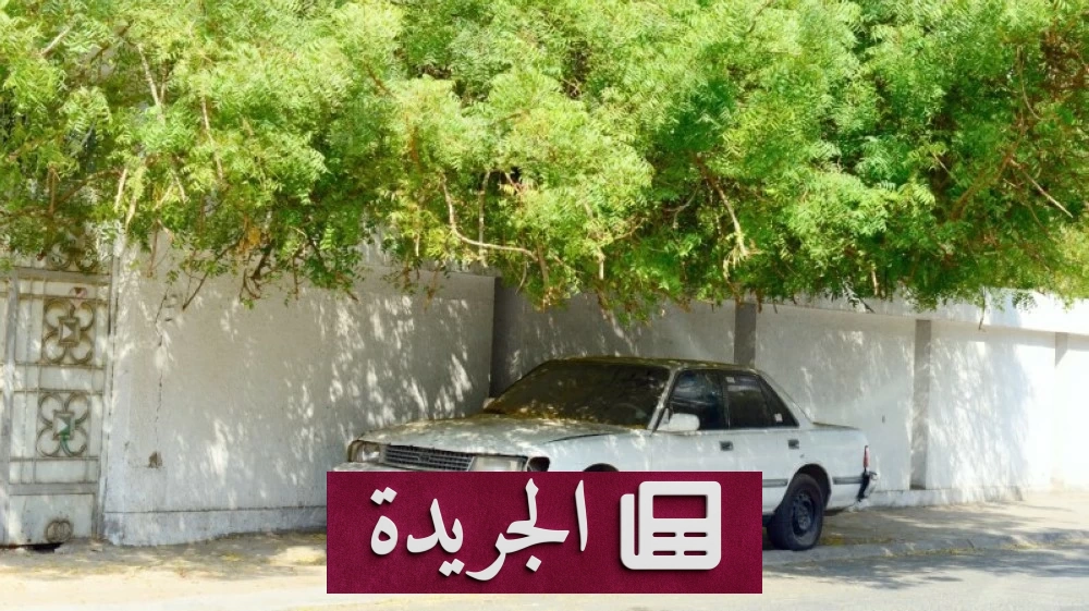 سيارات خربة تتحول إلى كارثة بيئية وبصرية في أحياء مكة - أخبار أونلاين