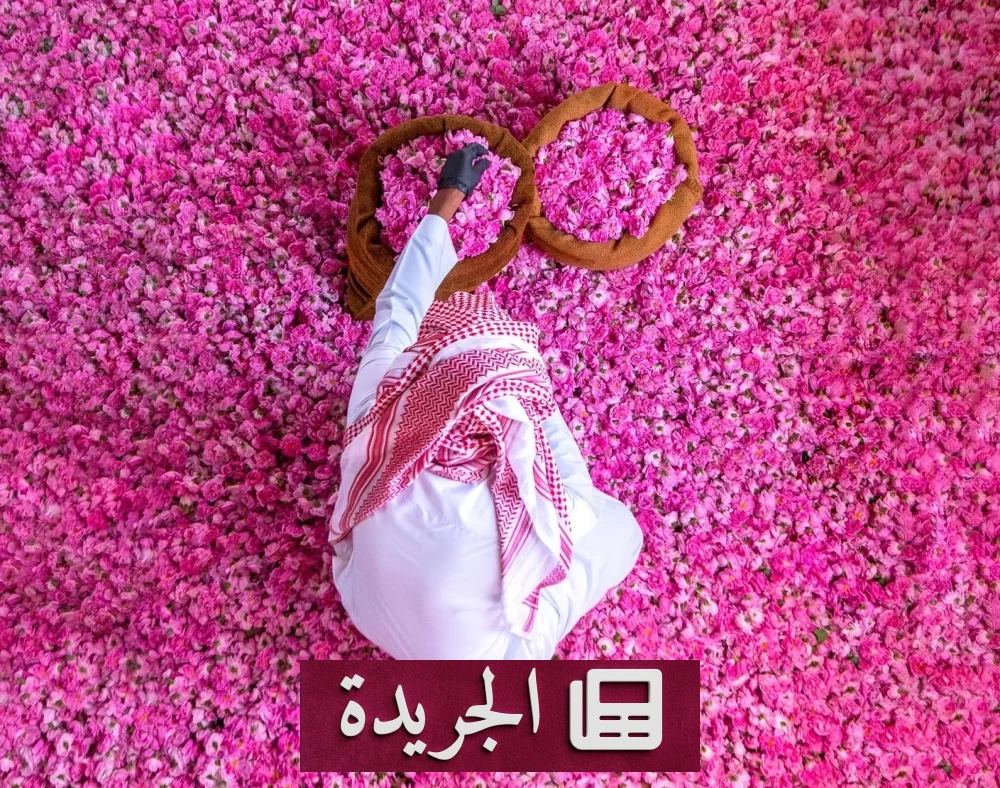 تعثر مهرجان ورد الطائف للمرة الثانية.. من المسؤول عن خيبة أمل المزارعين؟ - أخبار أونلاين
