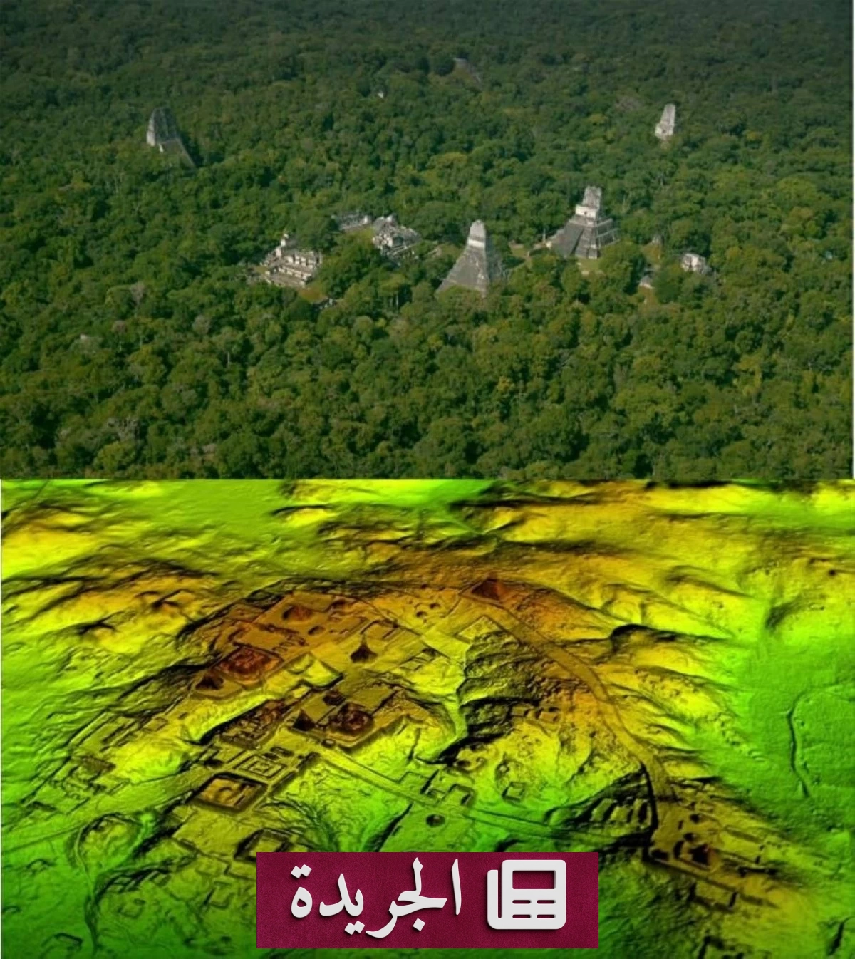 طالب يكتشف مدينة أثرية مفقودة لحضارة المايا بعد تصفحه على غوغل - آخر الأخبار - الجريدة