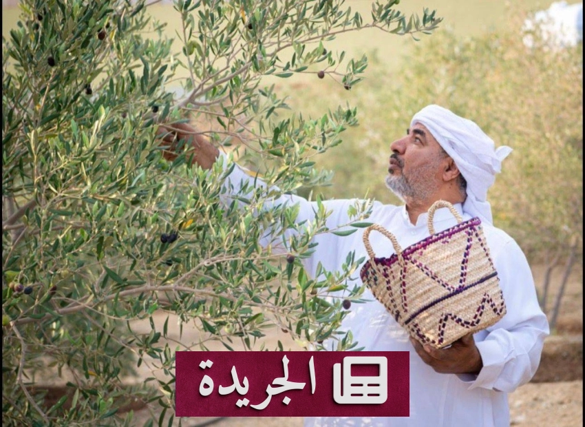 طبيب العيون يتحول إلى رائد للسياحة الزراعية بمنطقة الباحة - آخر الأخبار - الجريدة