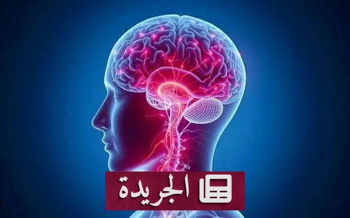 طفرة جينية دقيقة تُحدث تغيرات سلوكية ملحوظة في الدماغ - آخر الأخبار - الجريدة
